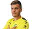 Petar Rubić - Team Hnk Cibalia 304098 Schedule