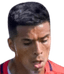 Nicolas carvajal - Team Deportes Recoleta 303612 Scores