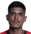 F.Nava - Fifa World Cup Interconfederation Playoffs 31774 Scores