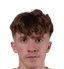 Antonio Paric - Team Sv Leobendorf 313703 Football Score