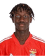 Alamara Viriato Djabi - Team Midtjylland U 313325 Football Live