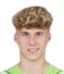 Harald·Postl - Team Tsv Hartberg 300174 Football Score