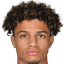 Kevin Paredes - Team Vfl Wolfsburg 303760 Football