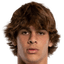 Benjamin Cremaschi - Team Parma 304198 Results