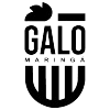 Adap-Galo Maringa - Fc VS Galo Maringa Result Today