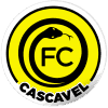 Cascavel PR - Player Mateus 426455 300524 Football Result