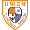 Flamingo Santos - Player Kobamelo Kebaikanye 636564 317500 Football Result