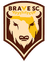 Brave SC - Usl 33715 Football Result