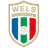 FC HOGO Hertha Wels - Team Lask Linz 298983 Live Football