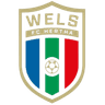 FC HOGO Hertha Wels - Team Fc Hogo Hertha Wels 300175 Live Football
