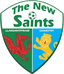 The New Saints - UCL Football