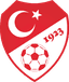 Turkiye U21 - Uefa European U 31816 Football Live Score