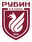 Rubin Kazan - Player D Makarov 475817 301687 Sport