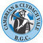 Cambrian Clydach - Team Cambrian Clydach 302516 Live Score