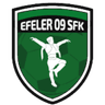 Efeler 09 - Team Bursa Yldrmspor 341814 Football Result