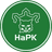 HAPK - Player Luka Puhakainen 1307399 299961 Football Result