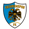 Erzurumspor FK - Team Amedspor 312663 Sport