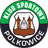 Gornik Polkowice - Player Tymoteusz Klup 411890 310274 Results