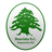 Boavista (RJ) Youth - Team Botafogo Rj Youth 302387 Football Live Score