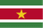 Suriname - Team Panama 298573 Sport