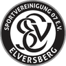 SV Elversberg U19 - Team Viktoria Koln U 320040 Result