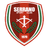 Serrano RJ U20 - Team Botafogo Rj Youth 302387 Football Live Score