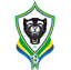Gabon - Fifa World Cup Qualification Caf 31770 Football Score