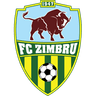 Zimbru Chisinau - Team Fc Noah 299810 Live Score Today