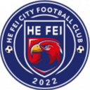 Hefei City - City VS Nanjing Longsheng Result