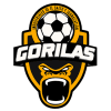 Gorilas de Juanacatlan II - Morelia VS Gorilas De Juanacatlan Ii Score