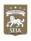Seia FCU17 - Por Juniores B 31917 Result