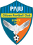 Paju Citizen FC - Player Jin Woo Jo 399492 299543 Football Live