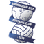 Birmingham U21 - Eng U Premier League 31860 Sport