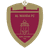 Al Wahda(UAE) - Player Asher Agbinone 1058992 303836 Live Score Today