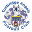Tonbridge Angels - Team Tonbridge Angels 303190 Live Score