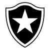 Botafogo RJ Youth - Youth VS Botafogo Rj Youth Live