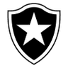 Botafogo RJ Youth - Team Santos Youth 299041 Result