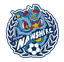 Foshan Nanshi - Team Foshan Nanshi 300944 Live Score Today