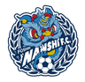 Foshan Nanshi - Team Foshan Nanshi 300944 Live Score Today