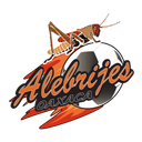 Alebrijes de Oaxaca - Sinaloa VS Alebrijes De Oaxaca Live