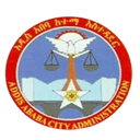 Nifas Silk Lafto Sub City - City VS Halaba City Result Today