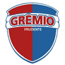 Gremio Prudente - Team Gremio Prudente 300455 Football Live Score