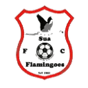 Sua Flamingoes - Flamingoes VS Extension Gunners Live Score