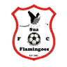Sua Flamingoes - Team Bdf Xi 307222 Football