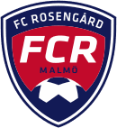 FC Rosengard Women - Player Mjohansson 599402 297964 Live Score