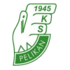 Pelikan Lowicz - Lowicz VS Polonia Warszawa Live