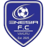 Enesia FC - Team Jwaneng Galaxy 334115 Football Live Score