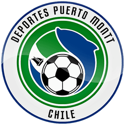 Puerto Montt - Player J F Abrigo 195746 301507 Football Result