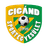 Cigand SE - Team Csm Satu Mare 346587 Live Football