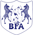 Botswana - Verde VS Botswana Score Today
